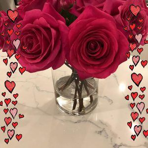 Meet your Posher, Aura